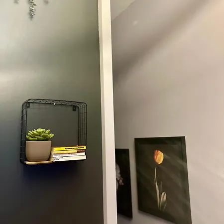Lägenhet Flower 9 *